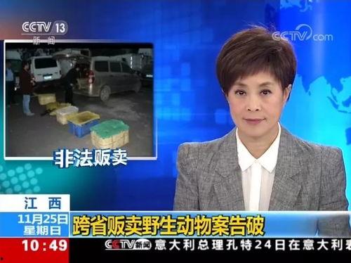 遂川爆料小哥新闻夜航,新闻夜航中的民间观察者  第1张